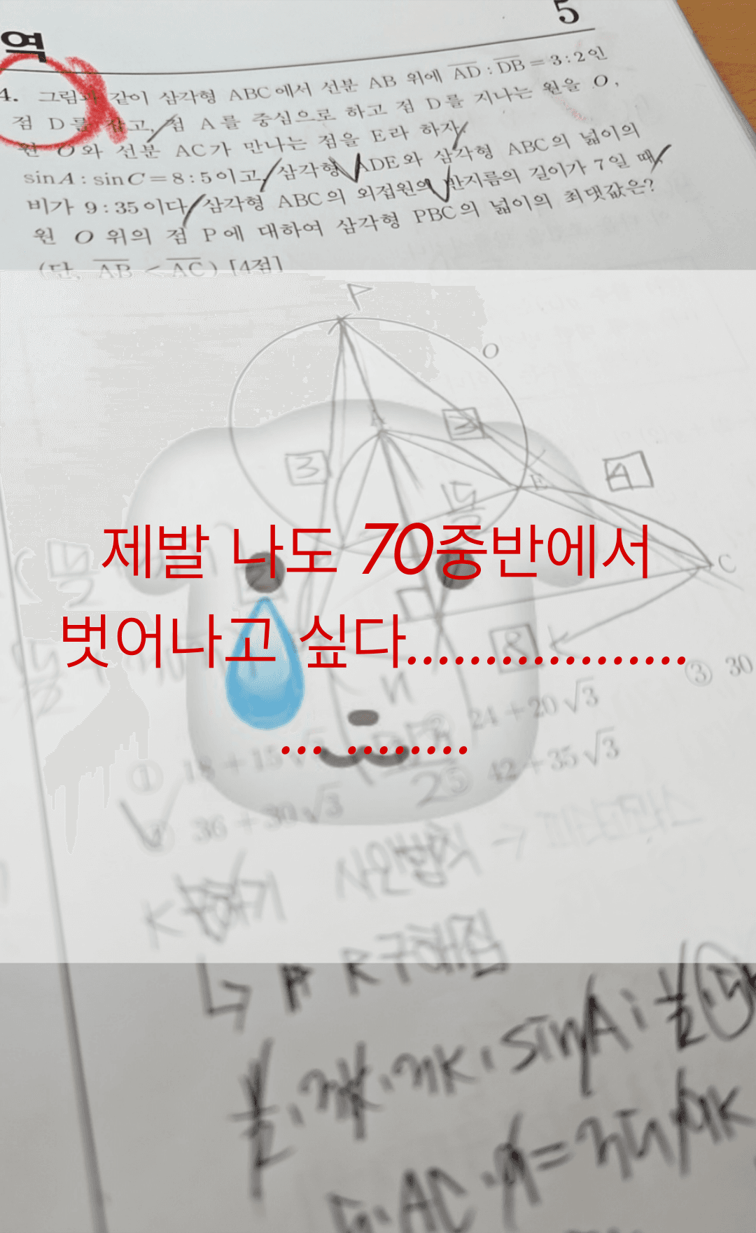 게시글 이미지 5