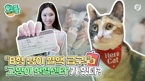 게시글 이미지 1