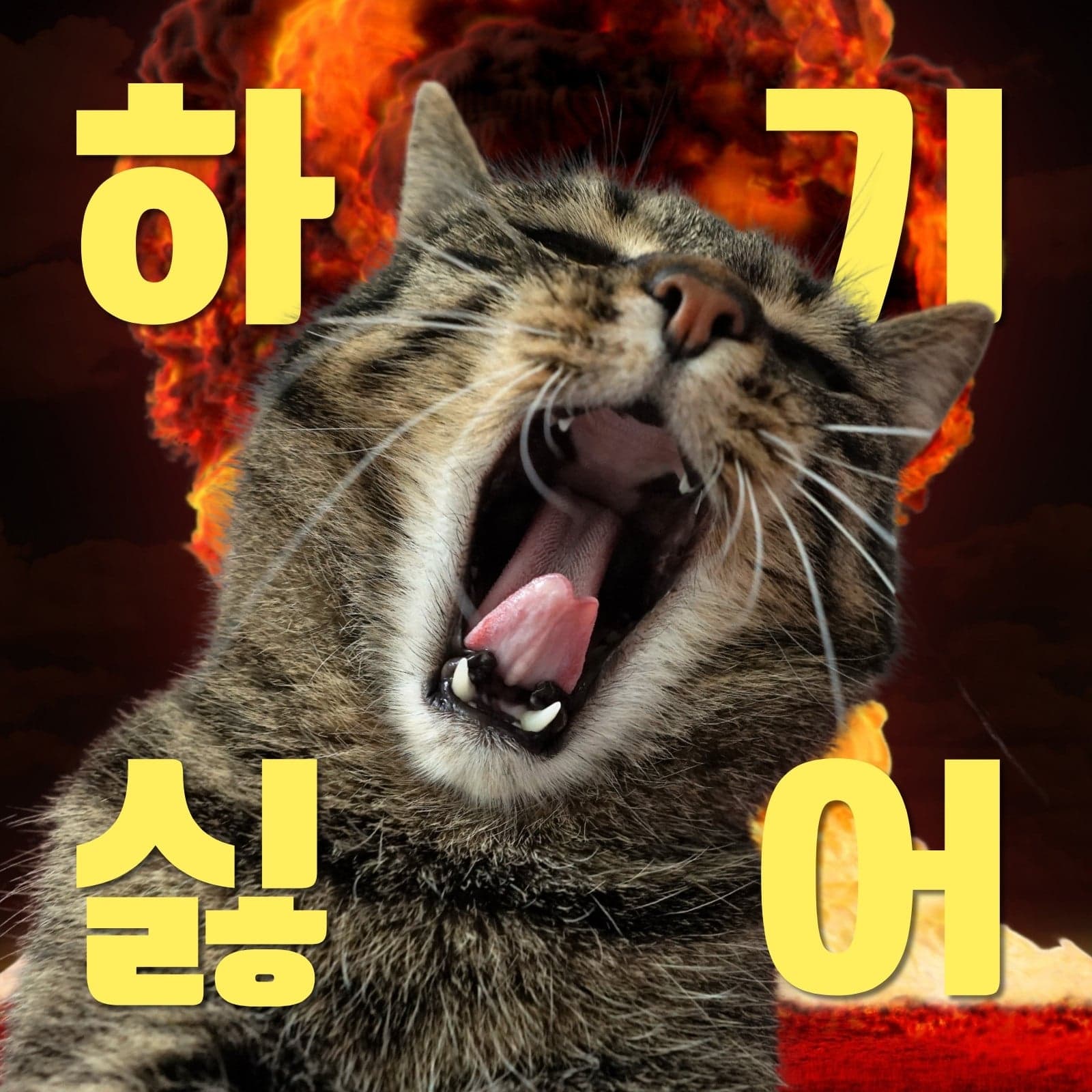게시글 이미지 1